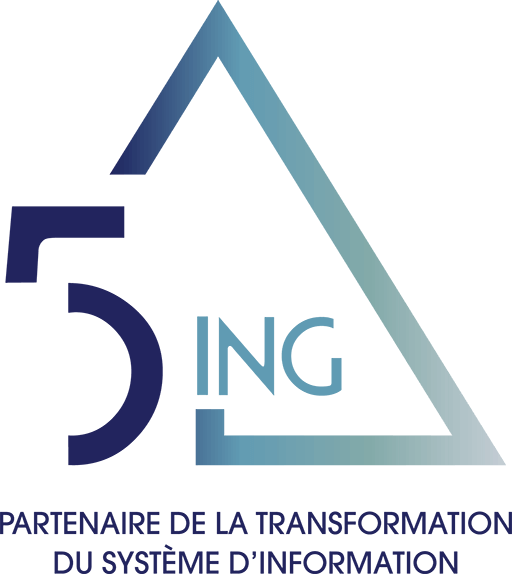 5ING CONSULTING